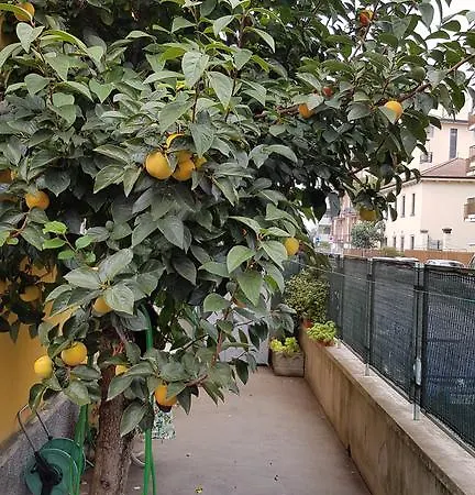 Apartment Casa Fiume *